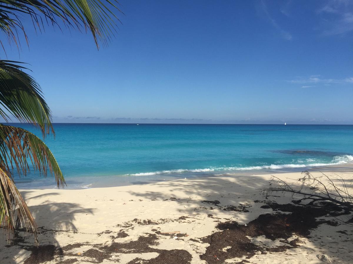 Bimini Seaside Villas - Pink Cottage With Beach View Alice Town  Exteriör bild