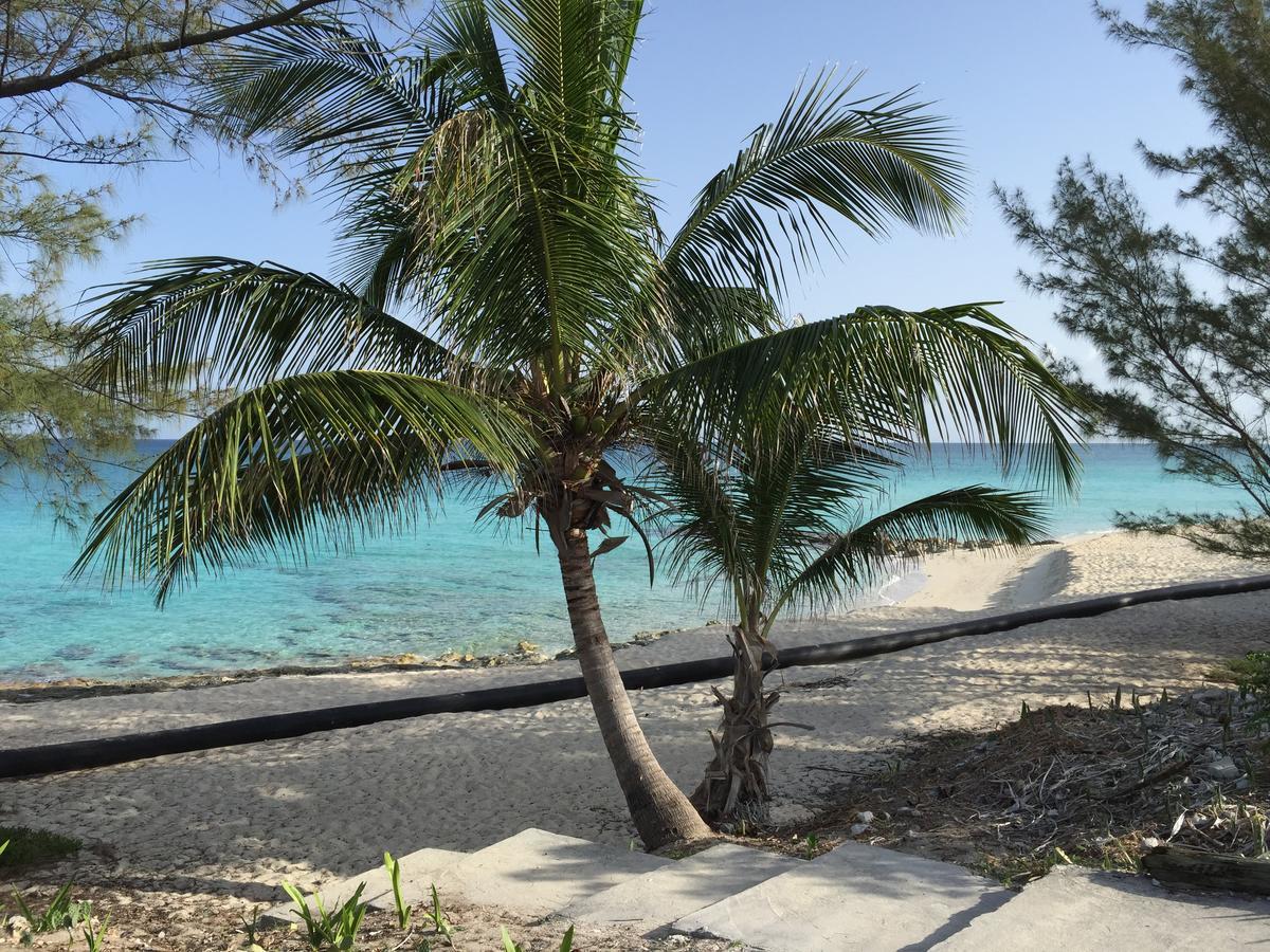 Bimini Seaside Villas - Pink Cottage With Beach View Alice Town  Exteriör bild