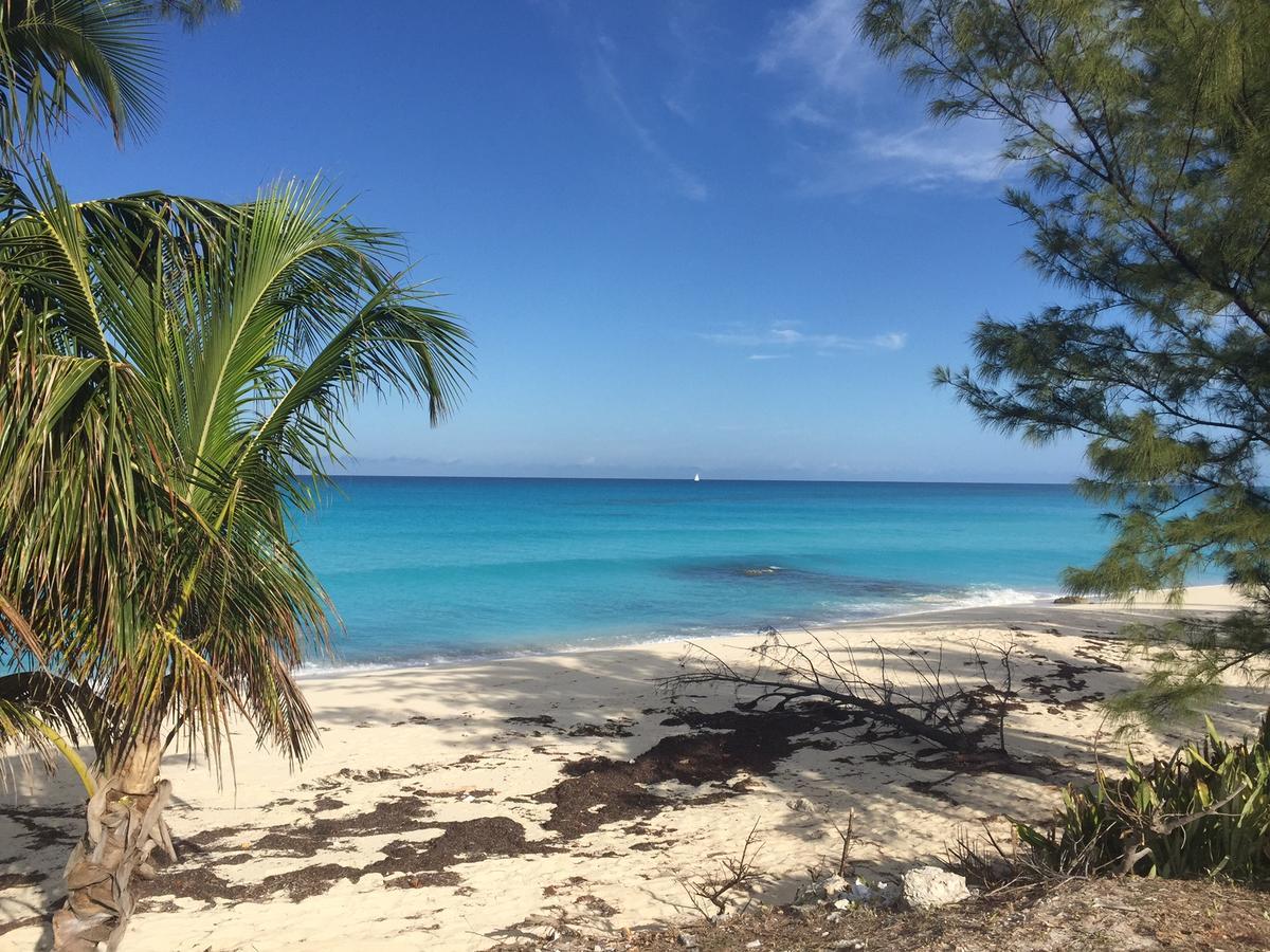 Bimini Seaside Villas - Pink Cottage With Beach View Alice Town  Exteriör bild