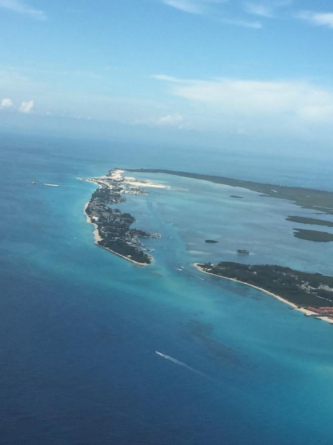 Bimini Seaside Villas - Pink Cottage With Beach View Alice Town  Exteriör bild